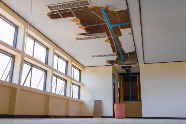 Best Water damage restoration experts  in Crookston, MN
