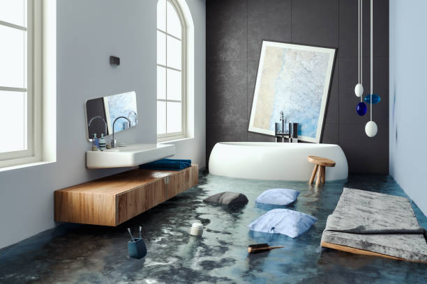 Best Water damage restoration near me  in Crookston, MN