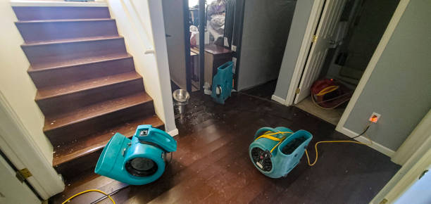 Best Commercial water damage restoration  in Crookston, MN