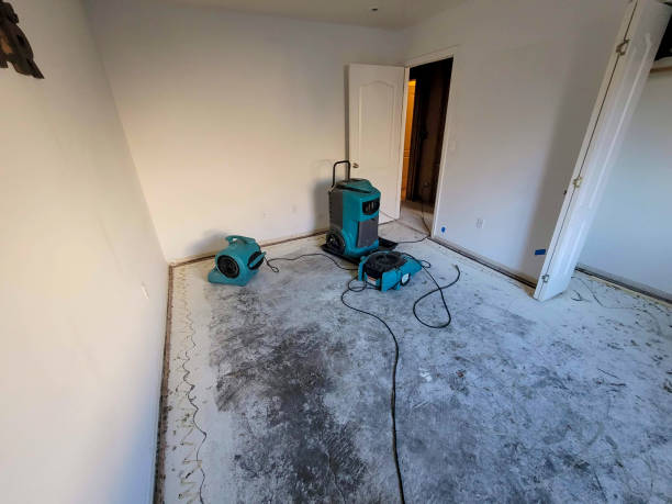 Best Water damage contractors near me  in Crookston, MN
