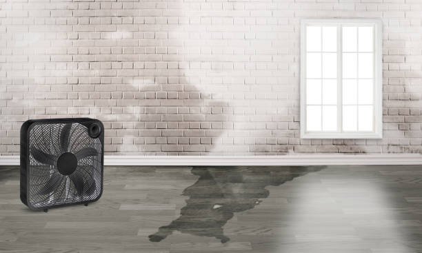 Best Emergency water damage restoration  in Crookston, MN