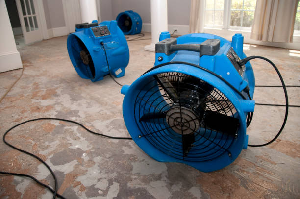 Best 24/7 water damage repair  in Crookston, MN