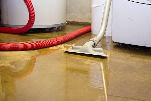 Carpet water damage restoration in Crookston, MN