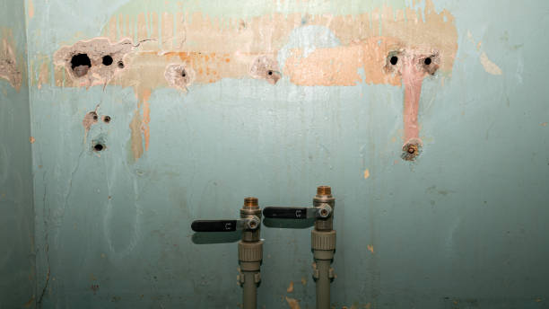 Best 24/7 water damage repair  in Crookston, MN