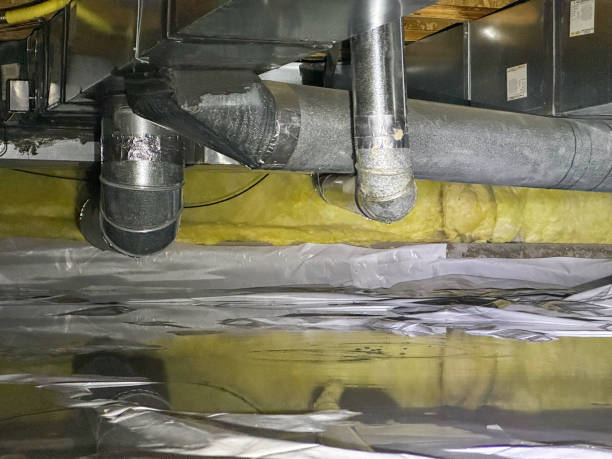 Best Ceiling water damage repair  in Crookston, MN