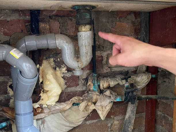 Best Water damage restoration services  in Crookston, MN