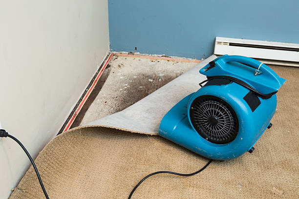 Trusted Crookston, MN Water damage restoration Experts