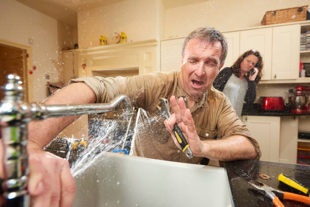 Best Sewage cleanup and water damage restoration  in Crookston, MN